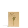 Daylesford Organic Leek Bandit Seeds- Seeds