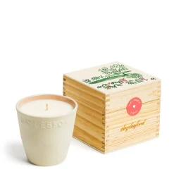 Daylesford Organic Limited Edition Vine Tomato Botanic Candle- Candles