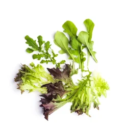 Daylesford Organic Market Garden Mixed Salad Leaves- Fruit & Vegetables