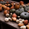 Daylesford Organic Market Garden Mixed Squash- Fruit & Vegetables